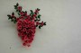 Thumbs/tn_Dsc_2473.jpg