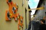 Thumbs/tn_Dsc_2477.jpg