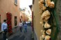 Thumbs/tn_Dsc_2518.jpg