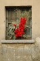 Thumbs/tn_Dsc_2529.jpg