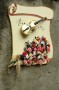 Thumbs/tn_Dsc_2538.jpg