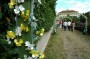 Thumbs/tn_Dsc_2545.jpg