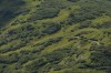 Thumbs/tn__dsc3378.jpg