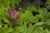 Thumbs/tn__dsc3383.jpg