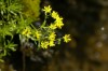 Thumbs/tn__dsc3397.jpg