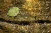 Thumbs/tn__dsc3430.jpg