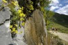 Thumbs/tn__dsc3446.jpg