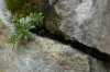 Thumbs/tn__dsc3528.jpg