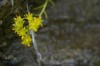 Thumbs/tn__dsc3530.jpg