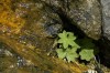 Thumbs/tn__dsc3579.jpg