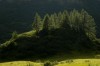 Thumbs/tn__dsc3604.jpg