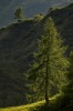 Thumbs/tn__dsc3609.jpg