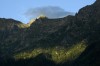 Thumbs/tn__dsc3629.jpg