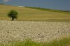 Thumbs/tn__dsc3766.jpg