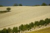 Thumbs/tn__dsc3771.jpg
