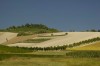 Thumbs/tn__dsc3773.jpg