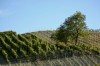 Thumbs/tn__dsc3873.jpg