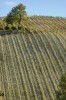 Thumbs/tn__dsc3876.jpg
