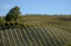 Thumbs/tn__dsc3878.jpg