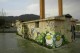 Thumbs/tn__dsc9317.jpg