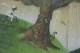 Thumbs/tn__dsc9352.jpg