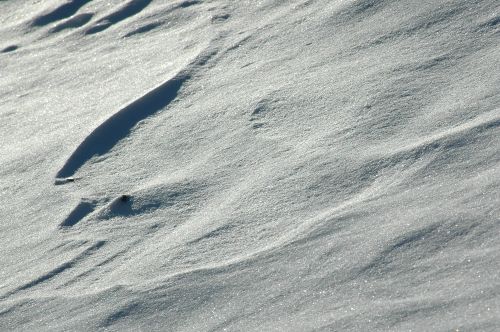 ../Images/Dsc_0954.jpg