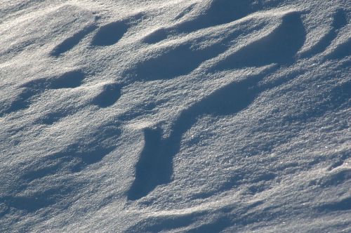 ../Images/Dsc_0955.jpg