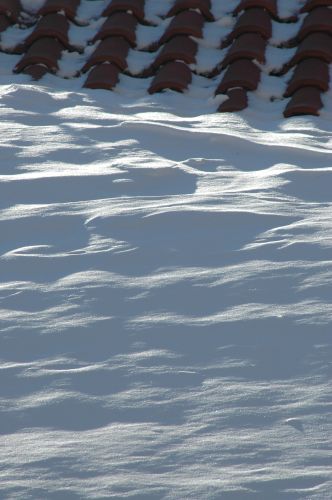 ../Images/Dsc_1033.jpg
