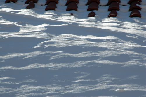 ../Images/Dsc_1034.jpg