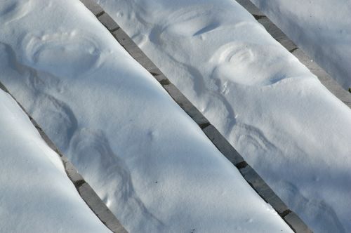 ../Images/Dsc_1036.jpg