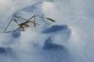 Thumbs/tn_Dsc_0940.jpg