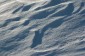 Thumbs/tn_Dsc_0955.jpg