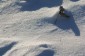 Thumbs/tn_Dsc_0959.jpg
