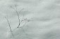 Thumbs/tn_Dsc_0988.jpg