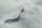 Thumbs/tn_Dsc_0989.jpg