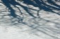 Thumbs/tn_Dsc_0990.jpg