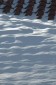 Thumbs/tn_Dsc_1033.jpg