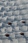 Thumbs/tn_Dsc_1044.jpg