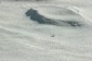 Thumbs/tn_Dsc_1050.jpg