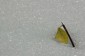 Thumbs/tn_Dsc_1065.jpg