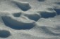 Thumbs/tn_Dsc_1069.jpg