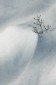Thumbs/tn_Dsc_1075.jpg