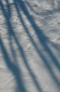Thumbs/tn_Dsc_1077.jpg