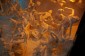 Thumbs/tn_Dsc_4667.jpg