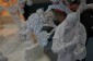 Thumbs/tn_Dsc_4669.jpg