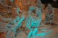 Thumbs/tn_Dsc_4674.jpg