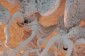Thumbs/tn_Dsc_4681.jpg