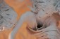 Thumbs/tn_Dsc_4682.jpg