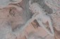 Thumbs/tn_Dsc_4687.jpg