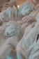Thumbs/tn_Dsc_4692.jpg